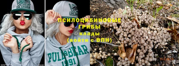 трава Костерёво