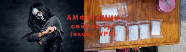 сатива Пенза